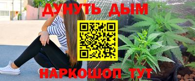стафф Новокубанск