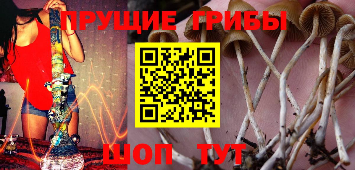 Галлюциногенные грибы Magic Shrooms  Вход с VPN  Советский 