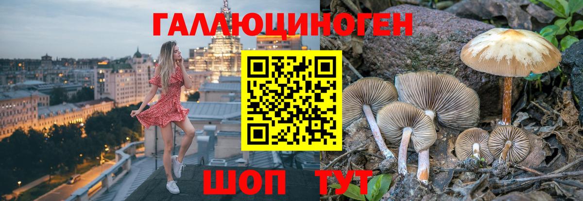 Галлюциногенные грибы мицелий Советский